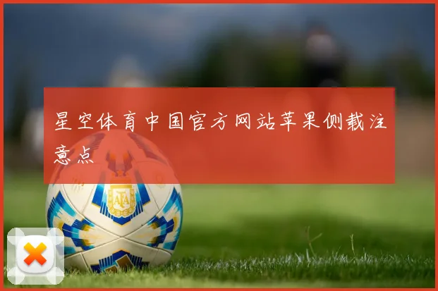 星空体育中国官方网站苹果侧载注意点